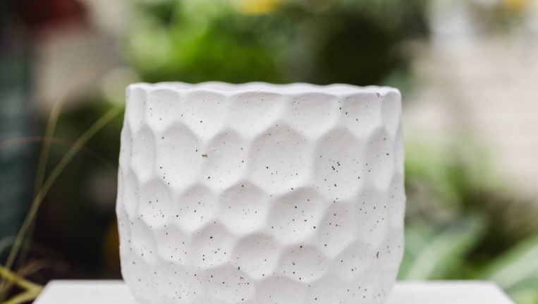 cache pots for plants