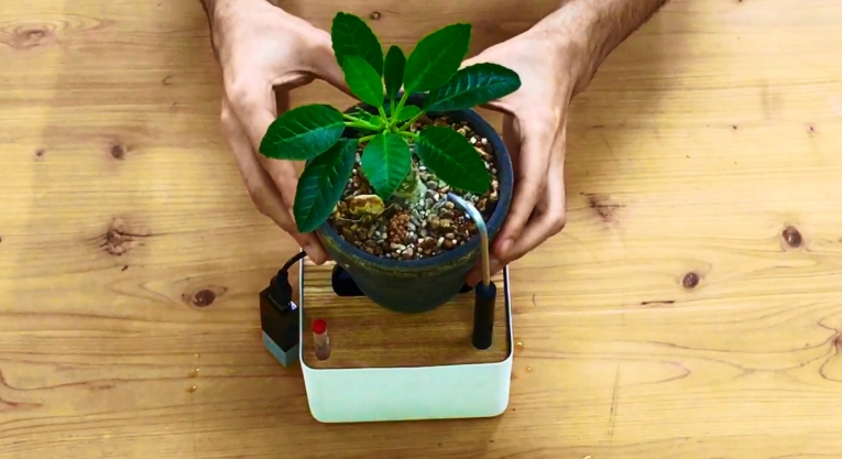 amazon plant stands indoor