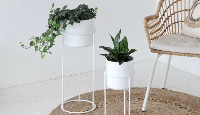 white plant pot with stand
