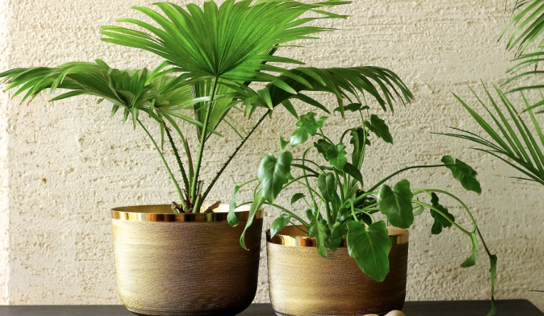 brass flower pots