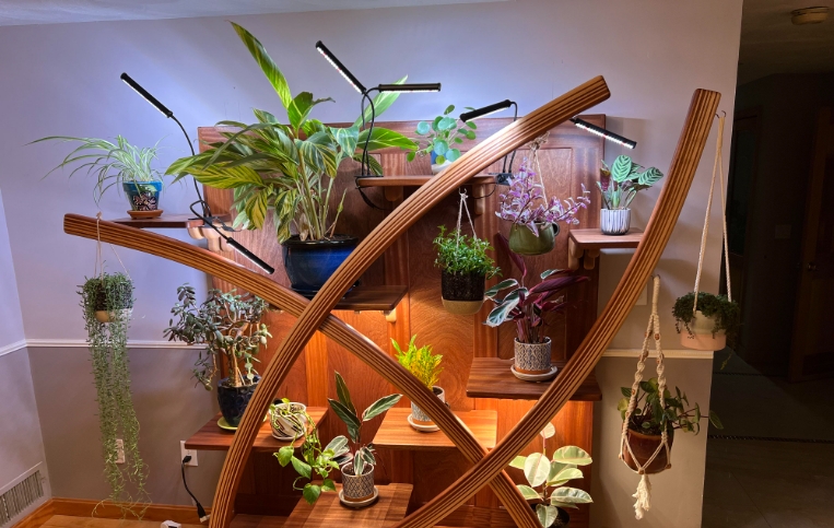 cheap plant stands indoor
