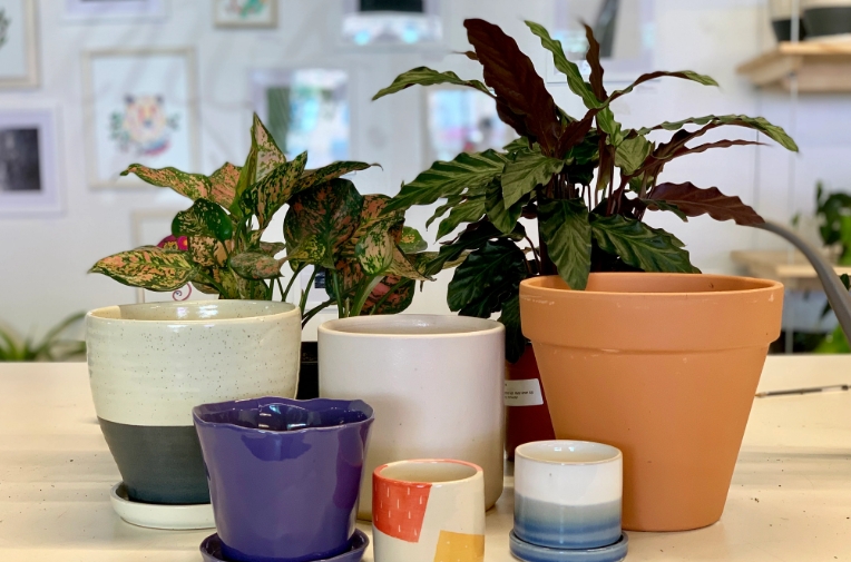 cheap plant pots near me
