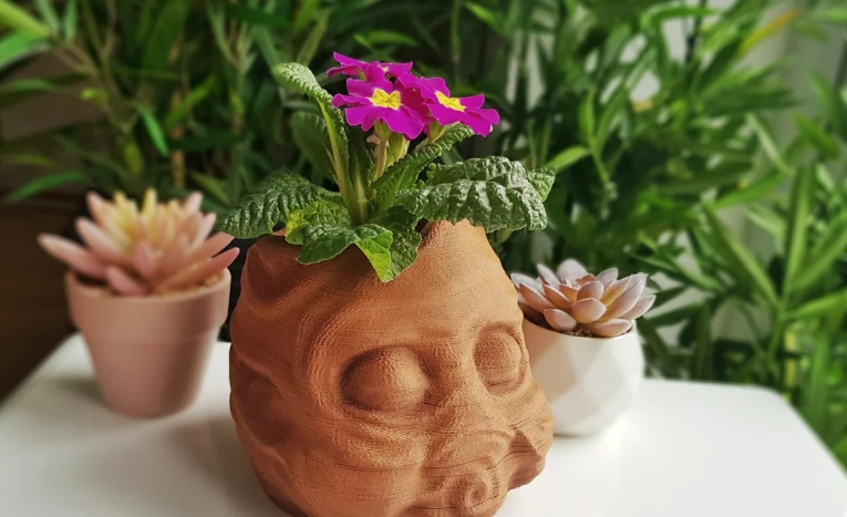 buddha plant pot