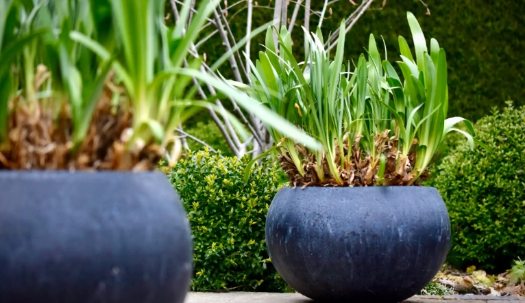 30cm plastic plant pots