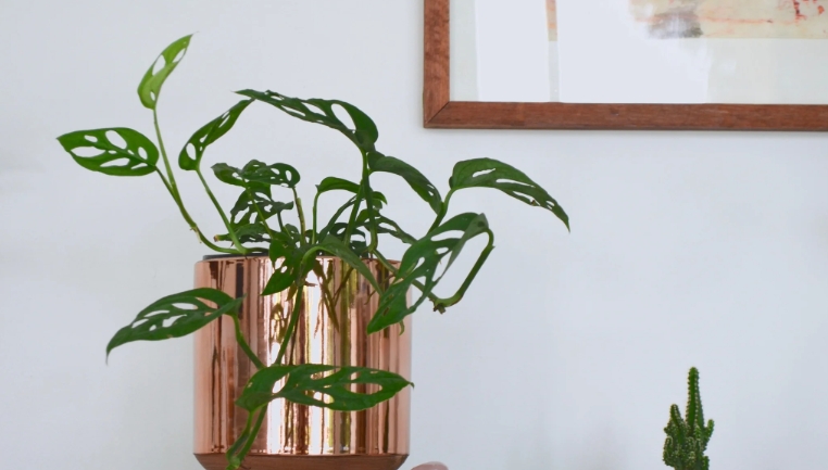 gold indoor plant pot