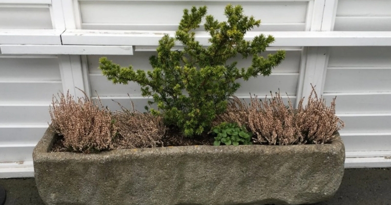large plant troughs