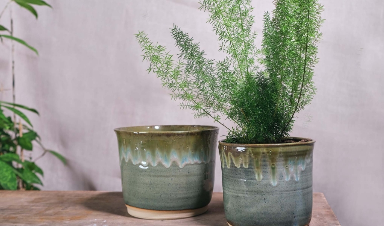 14cm plant pot