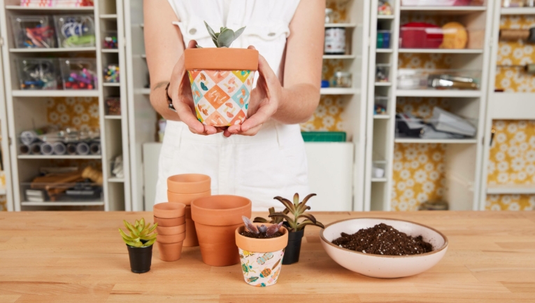 12cm plant pot