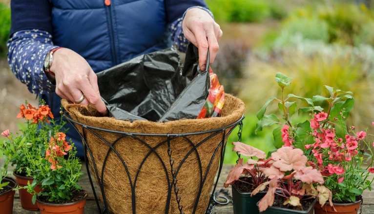 plastic hanging baskets for plants