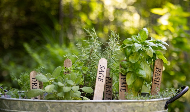 sage green plant pot