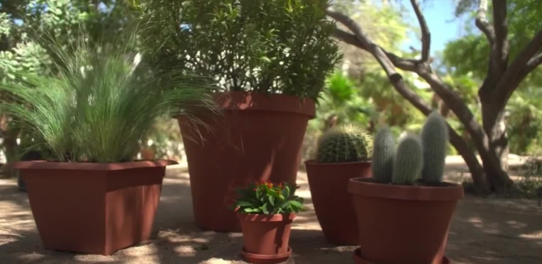 resin pots for plants