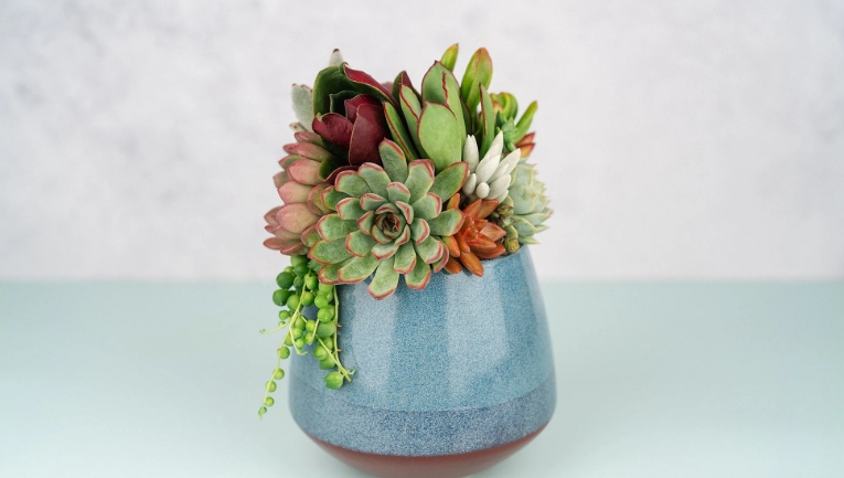 navy plant pot
