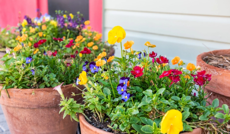 10 inch plastic pots for plants