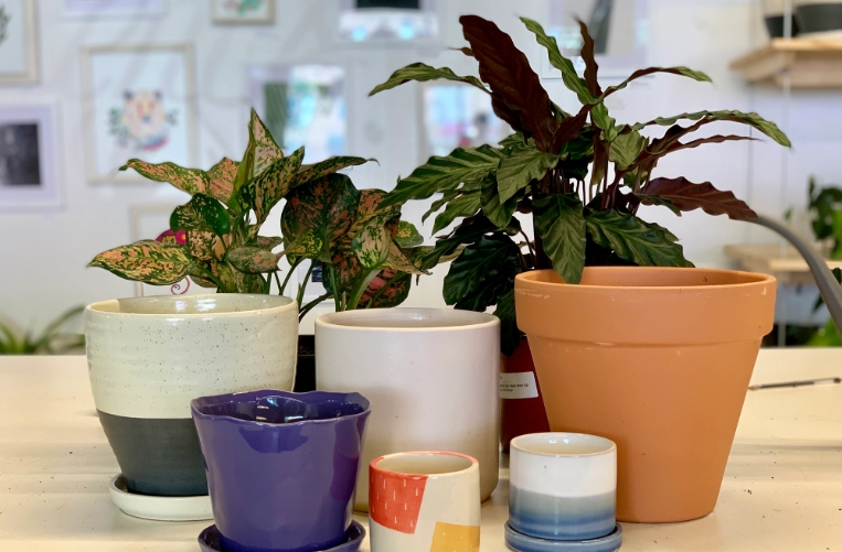 cheap ceramic plant pots