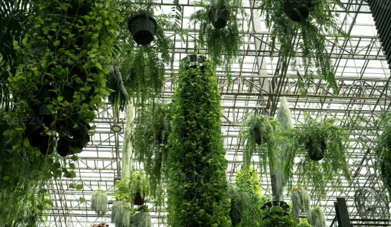 indoor hanging baskets for plants
