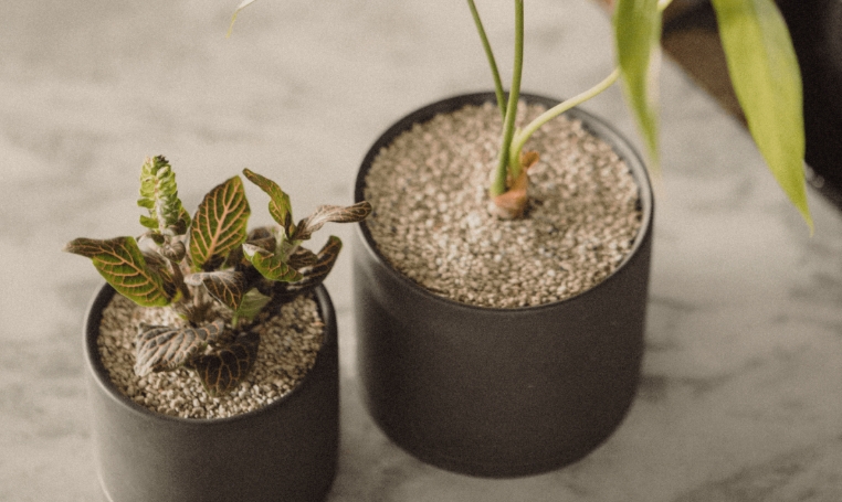 17cm plant pot