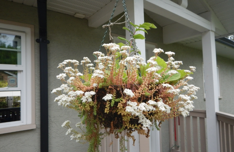 white hanging basket