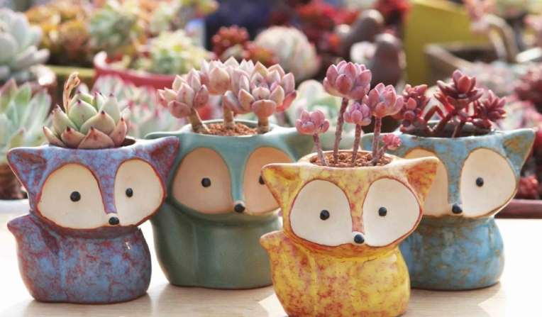 10cm plant pots