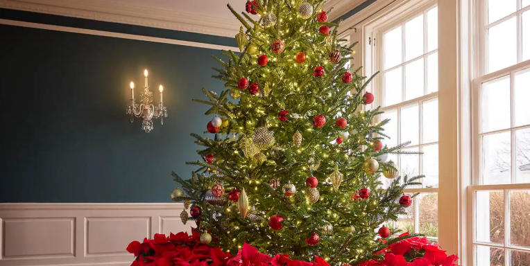 The Best Outdoor Christmas Decorations for Pet Owners