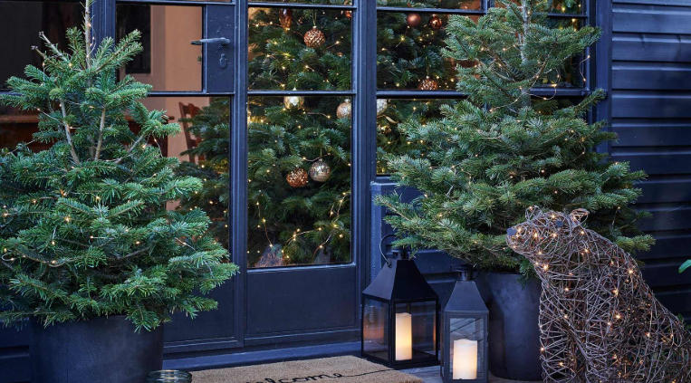 The Best Outdoor Christmas Decorations for Front Yards