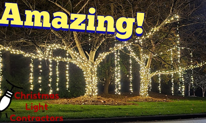 How to Hang Outdoor Christmas Lights on Trees