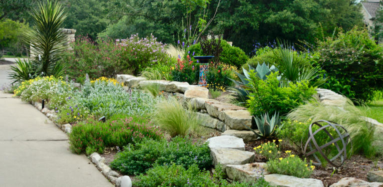 Backyard with Dogs Landscaping Ideas That Work