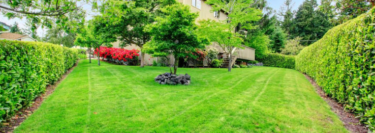 Backyard Landscaping for Dogs That’s Stylish and Durable