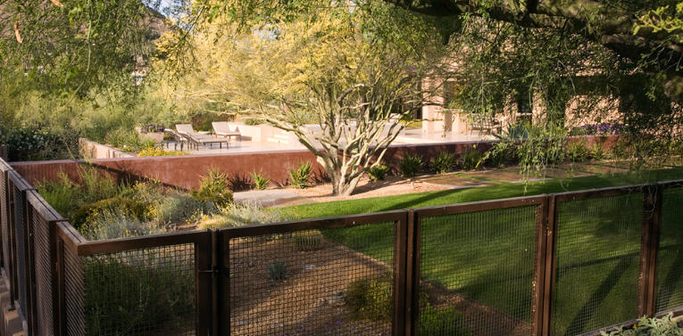 Cool Backyard Ideas for Dogs That Beat the Heat