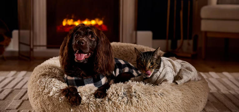 Dog Proof Yard Ideas for Active Pets