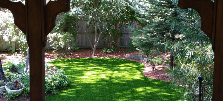 Dog Yard Landscaping That’s Functional and Attractive