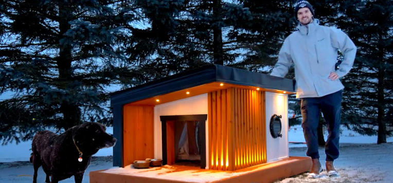 Dog Friendly Yard Design for Any Home Size