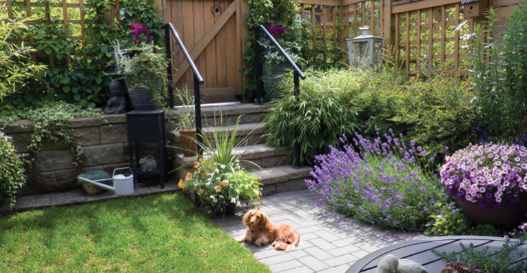 Creative Backyard Pet Ideas for Small Spaces