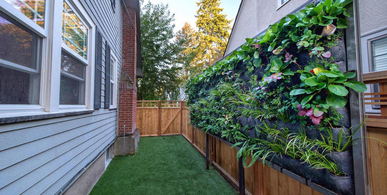 Backyard Ideas When You Have Dogs at Home