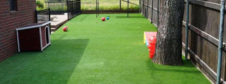 Backyard Ideas for Dog Poop Area That Stay Clean