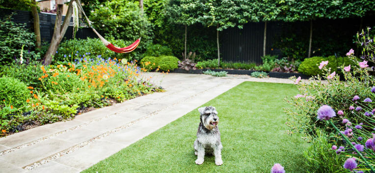 Dog Friendly No Grass Yards with Style