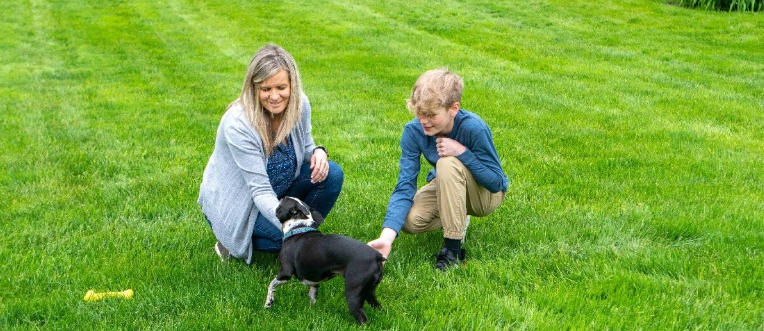 The Ultimate Lawn Treatment Pet Friendly Approach