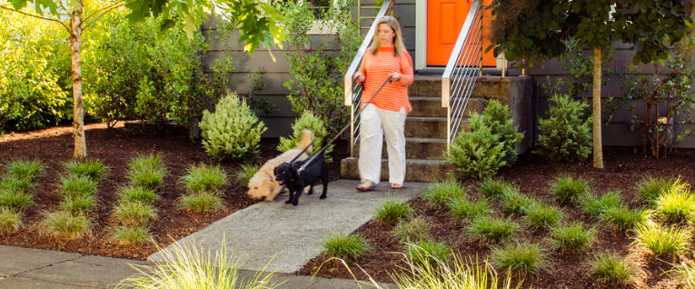 Backyard Ideas for Dog Owners with Style