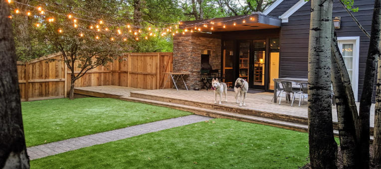 Backyard Ideas Without Grass for Dogs’ Comfort