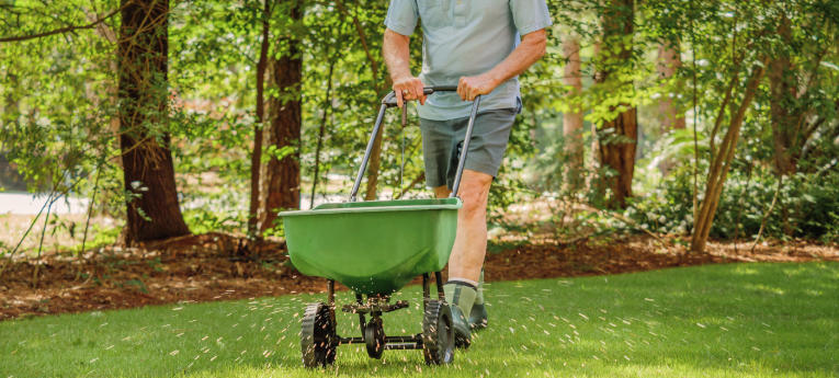 Best Pet Friendly Lawn Treatment Products to Try