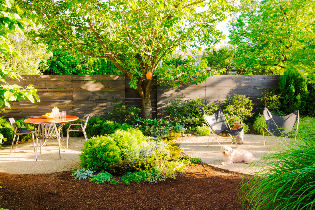 Backyard Design for Dogs That Combines Comfort and Style