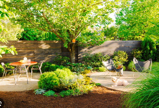 Backyard Ideas Dogs Will Love All Year Round