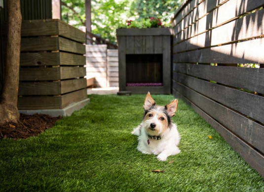 How to Build a Dog Proof Yard That Lasts
