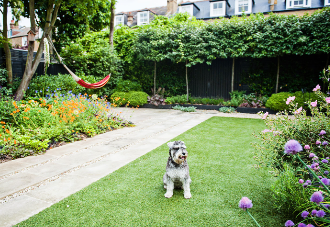 Eco-Friendly Pet Friendly Lawn Treatment Ideas
