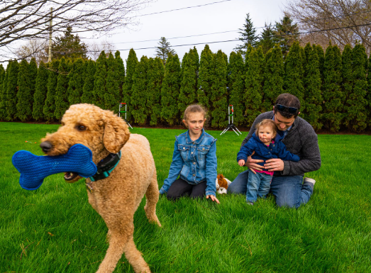 Best Pet Safe Lawn Care Near Me for Families