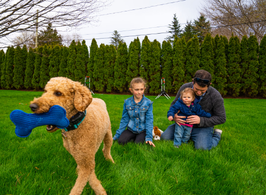 Lawn Care Services Safe for Pets and Kids