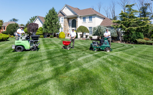 Top Pet Friendly Lawn Care Near Me Services