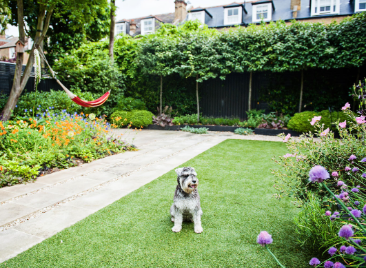 How to Design a Pet Friendly Yard for Every Pet Owner