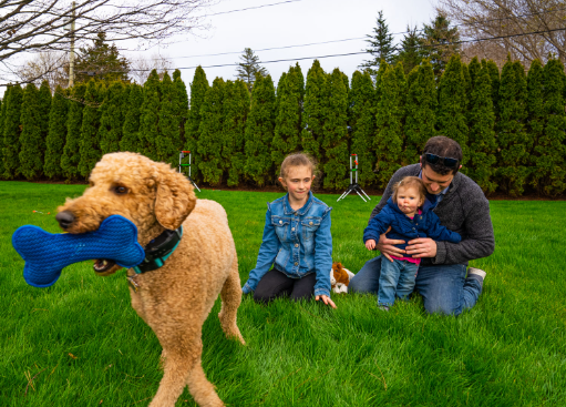 Choosing the Right Pet Friendly Lawn Service