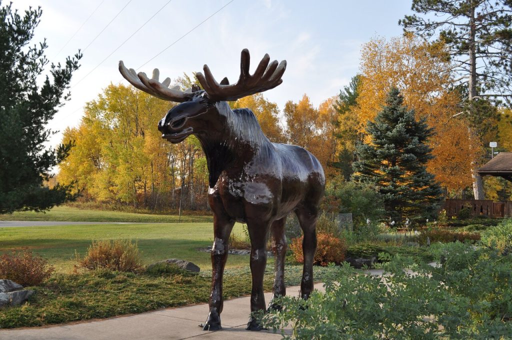 large moose statue