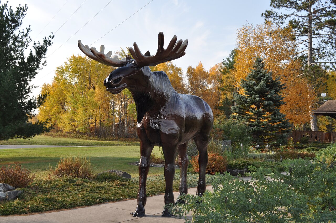 large moose statue
